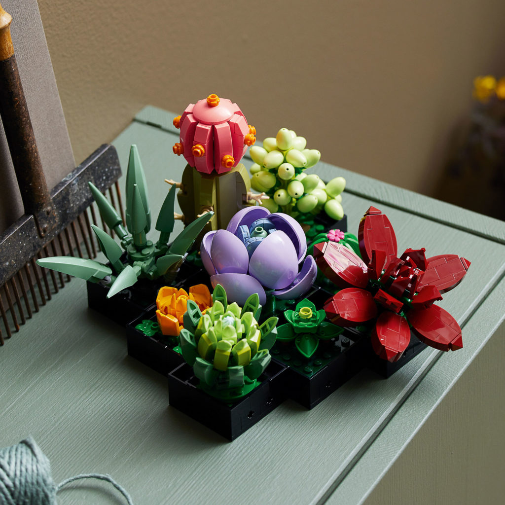 Lego Succulent Lifestyle Shot