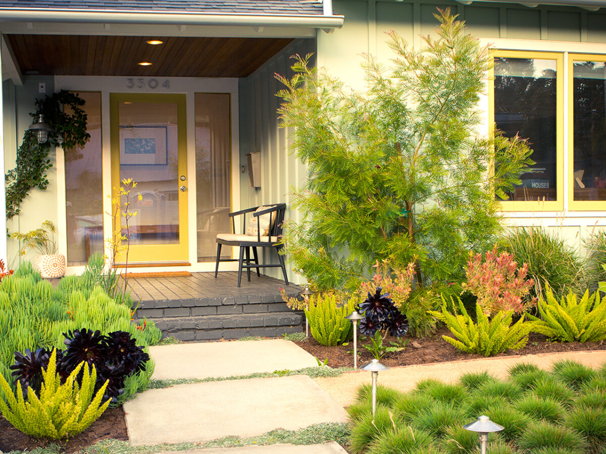 Low Water Spring Greenery