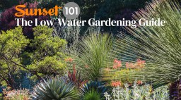 Low Water Gardening