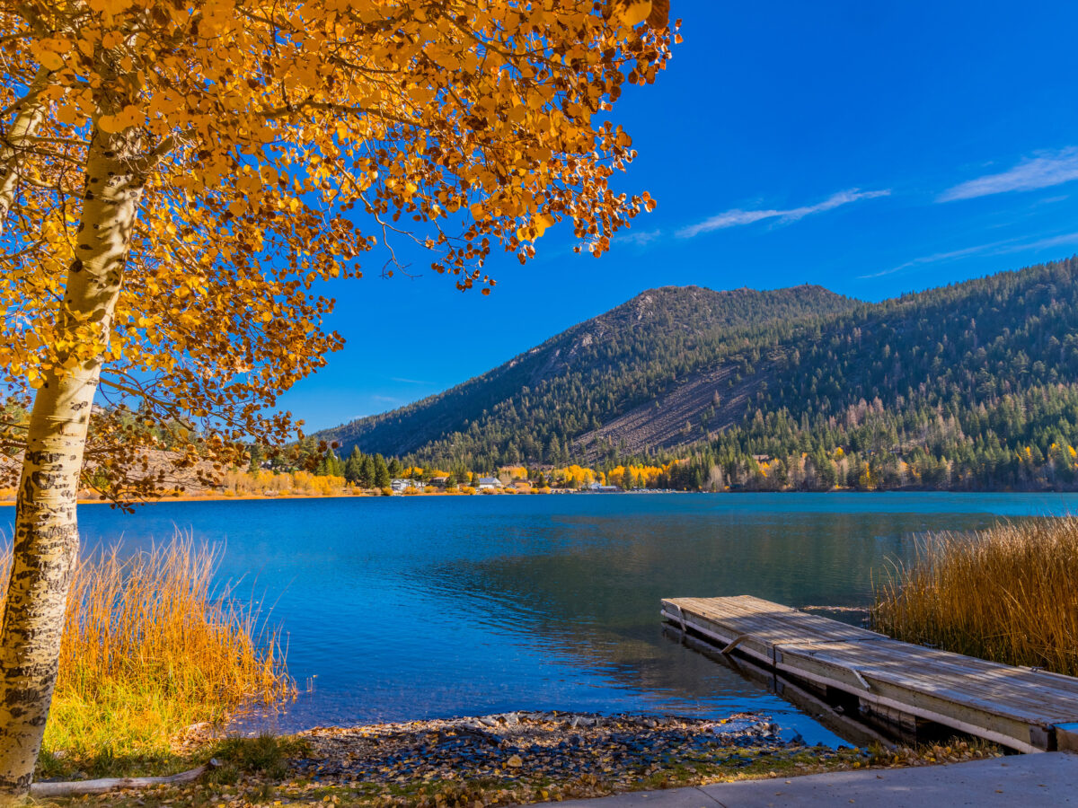 Fall Fern Lake
