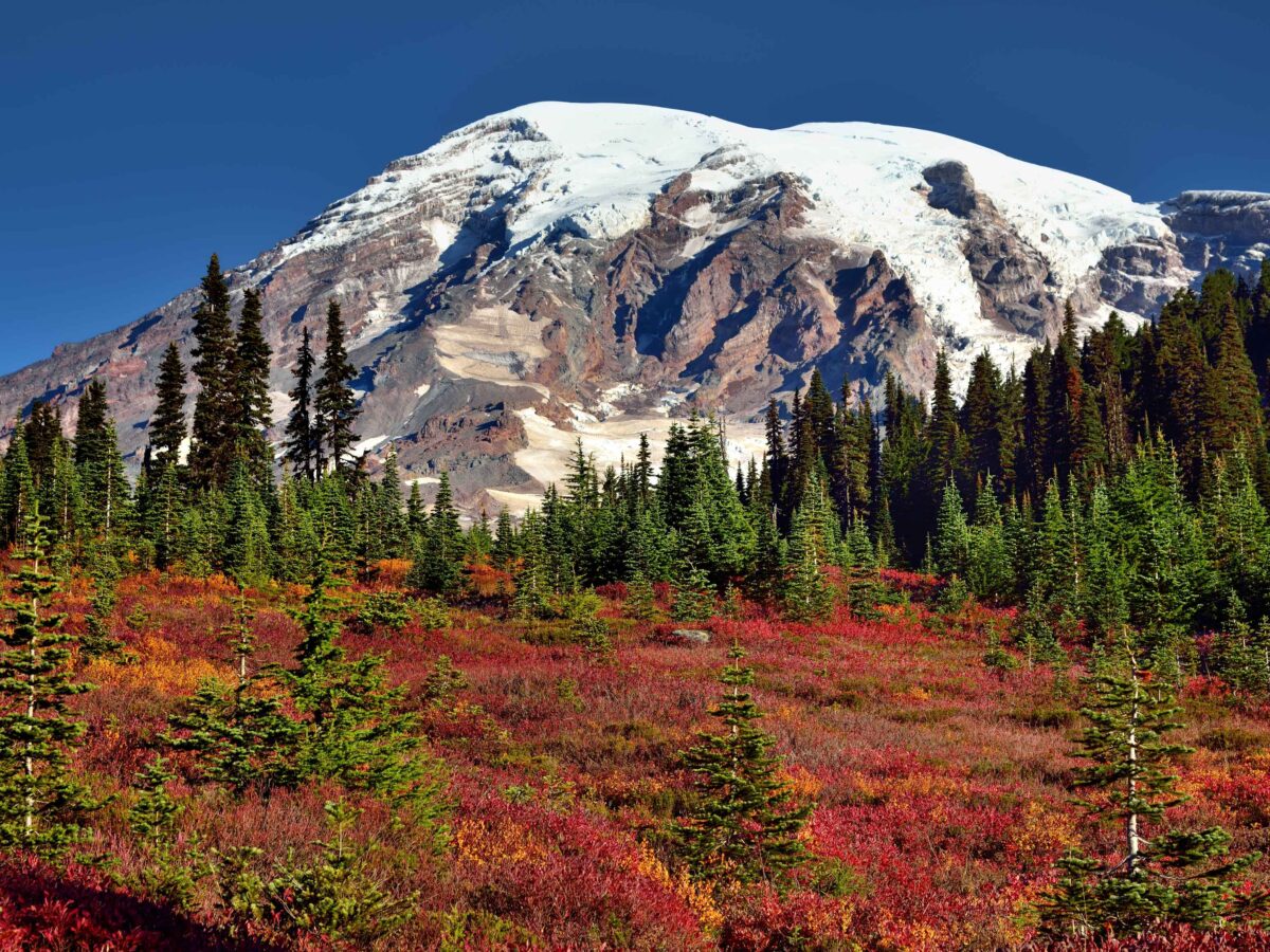 Fall Skyline Trail