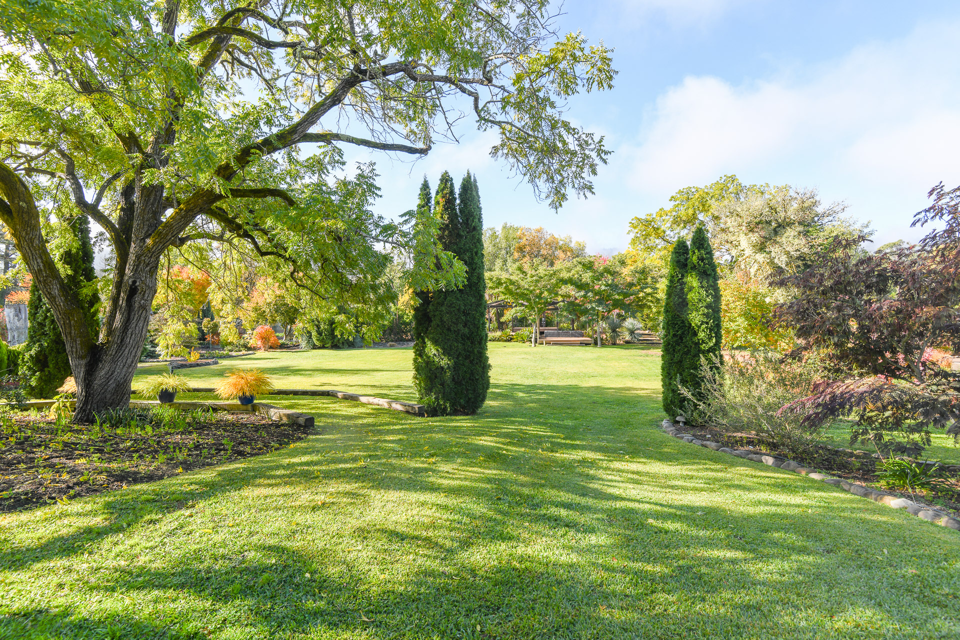 main-lawn_02