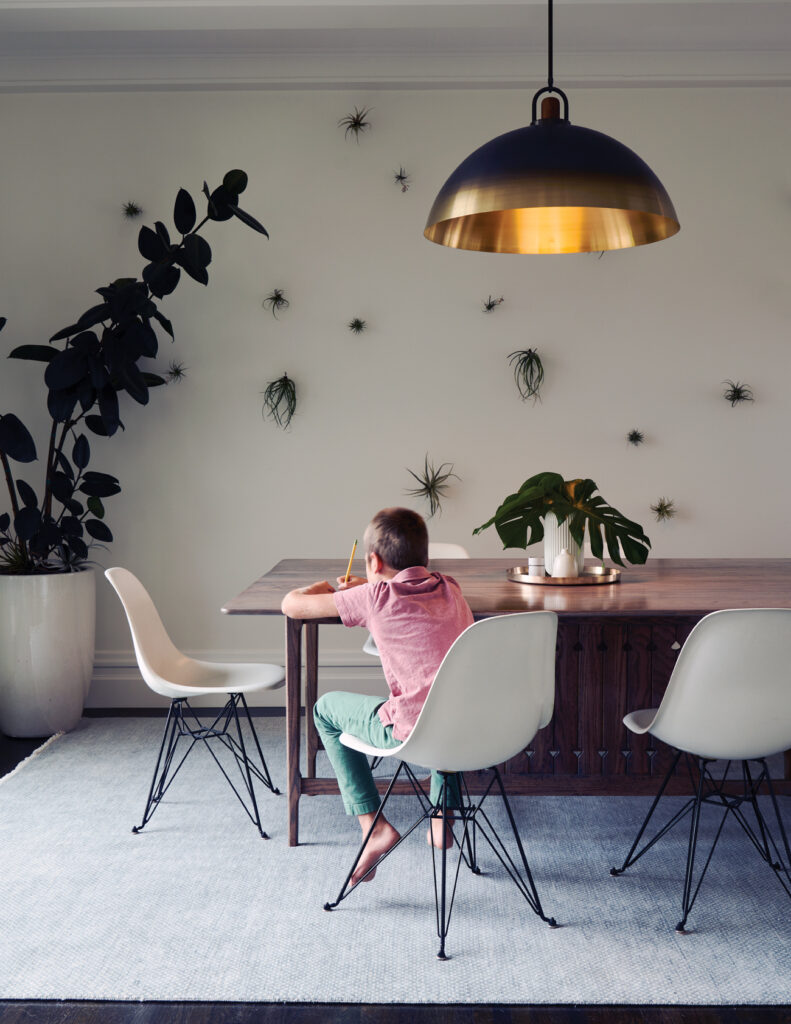 Malcolm Davis Architecture SF Modern Reno Dining Room Air Plants