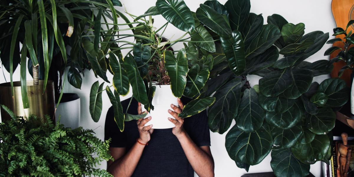 Man Hiding Behind Plant