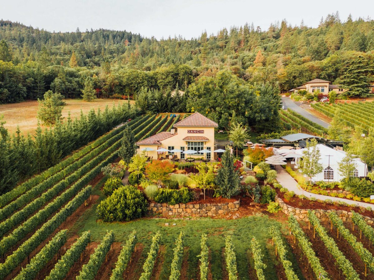 Dancin Vineyard