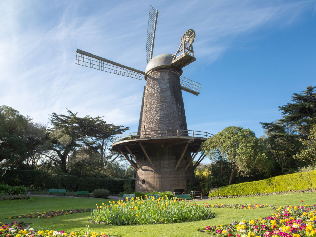 Queen Wilhelmina Tulip Garden in San Francisco