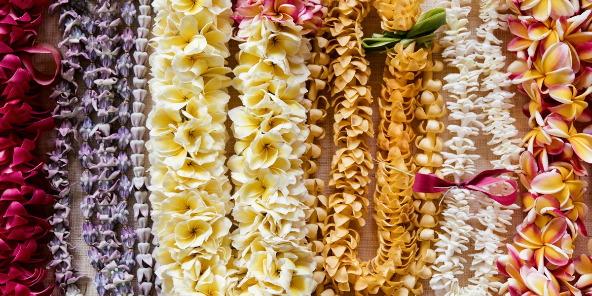 Flat Leis
