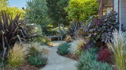 Backyard Veggie Garden Overview