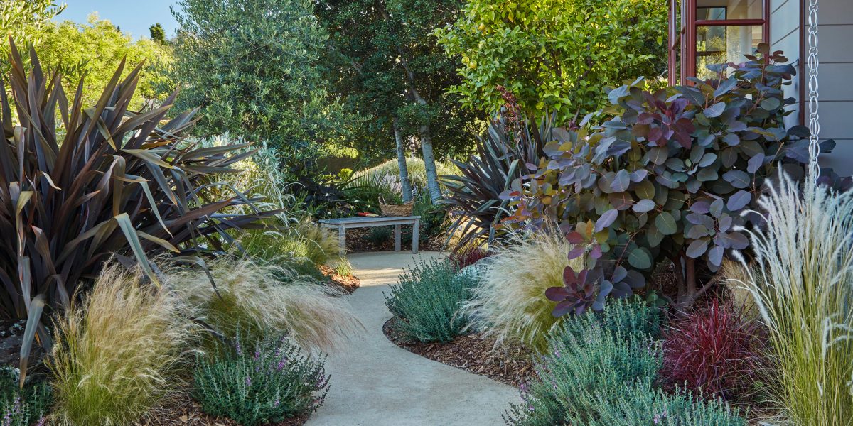 Backyard Veggie Garden Overview