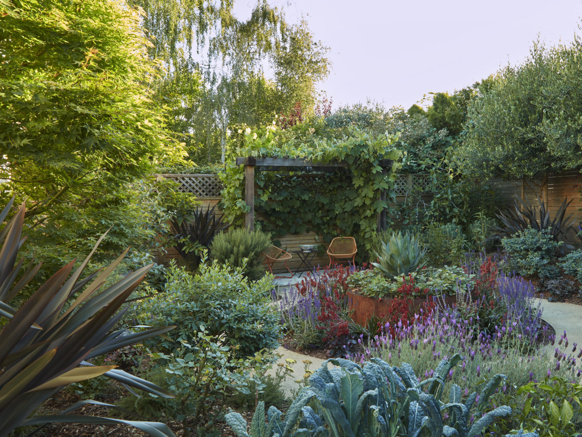 Mill Valley Veggie Garden Zone 1