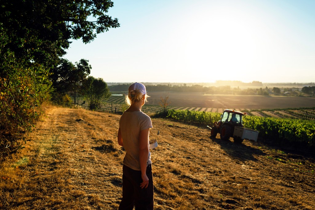 How to Imbibe in the West’s Golden Era of Winemaking