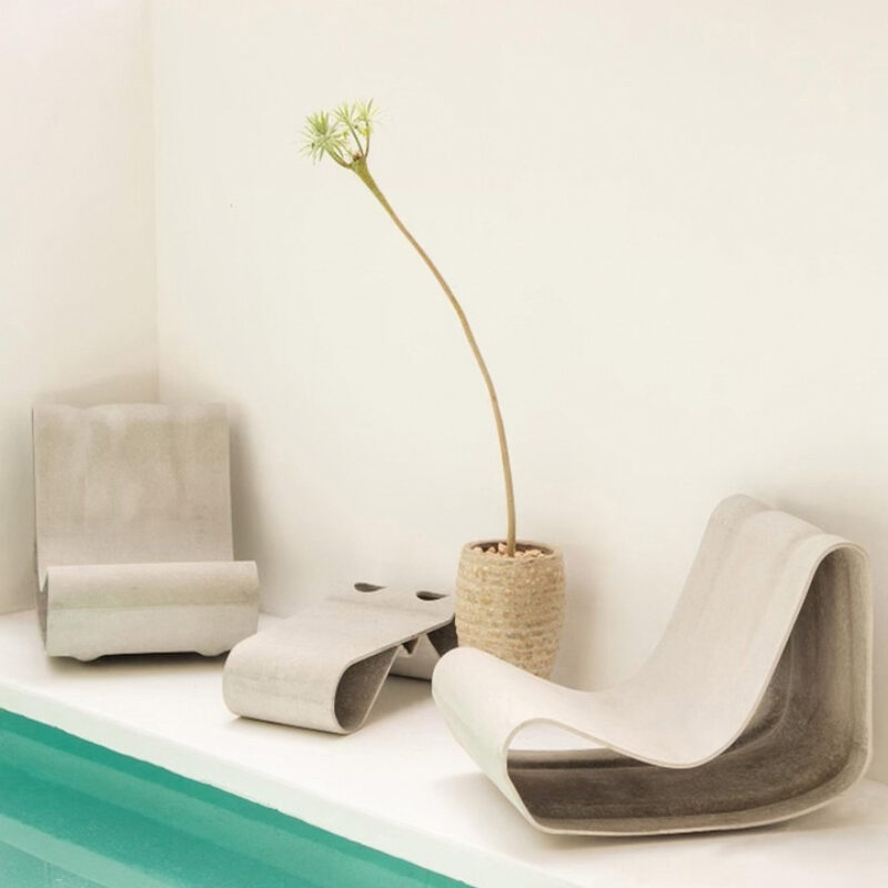 Dracaena or Pleomele by the Pool