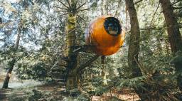 Unusual hotel in Vancouver Island with orbs hanging in trees