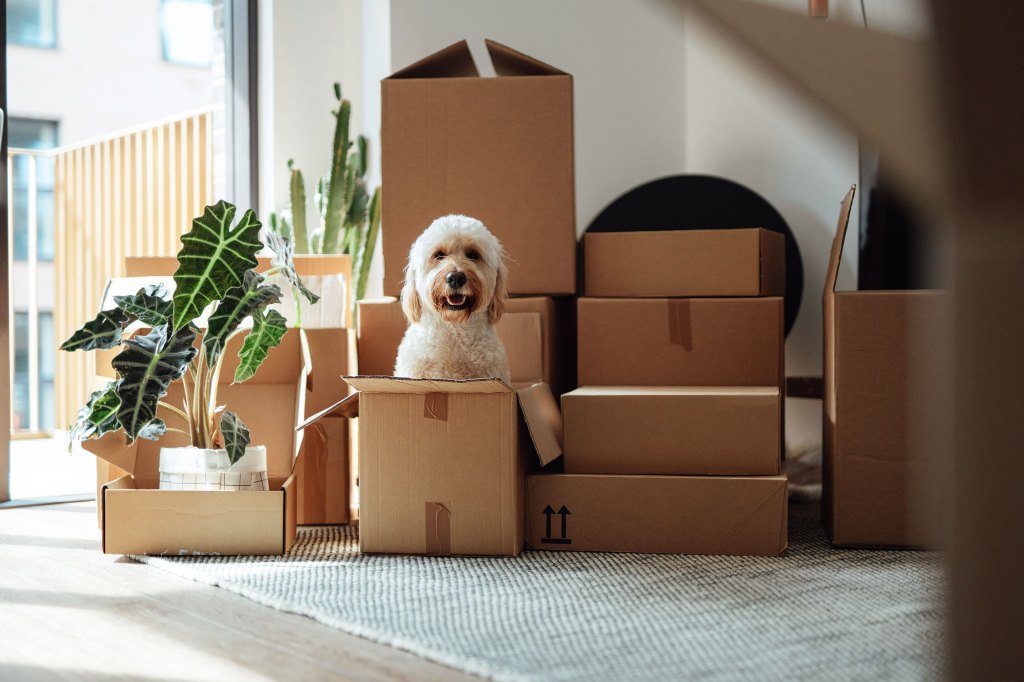 The Downsizing Tips a Professional Organizer Wants You to Know