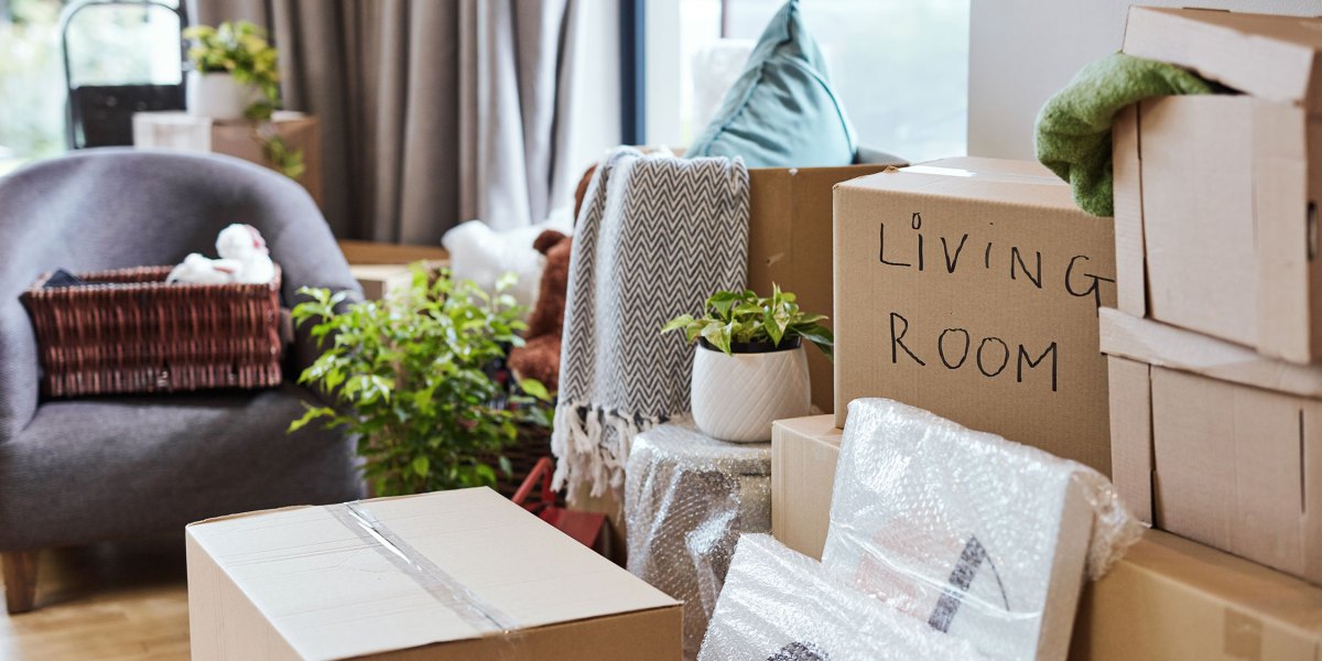 Moving Boxes Organizing