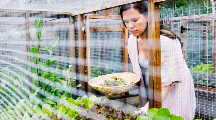 human-friendly-pest-deterrent