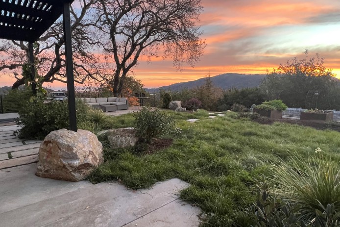 Native Lawn by Christian Douglas