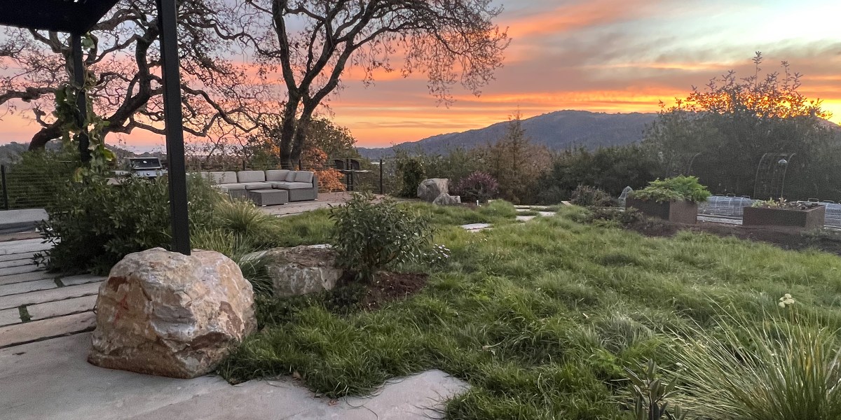 Native Lawn by Christian Douglas