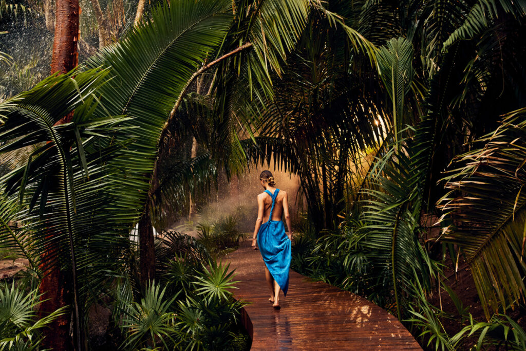 Naviva A Four Seasons Resort Walkway Palms