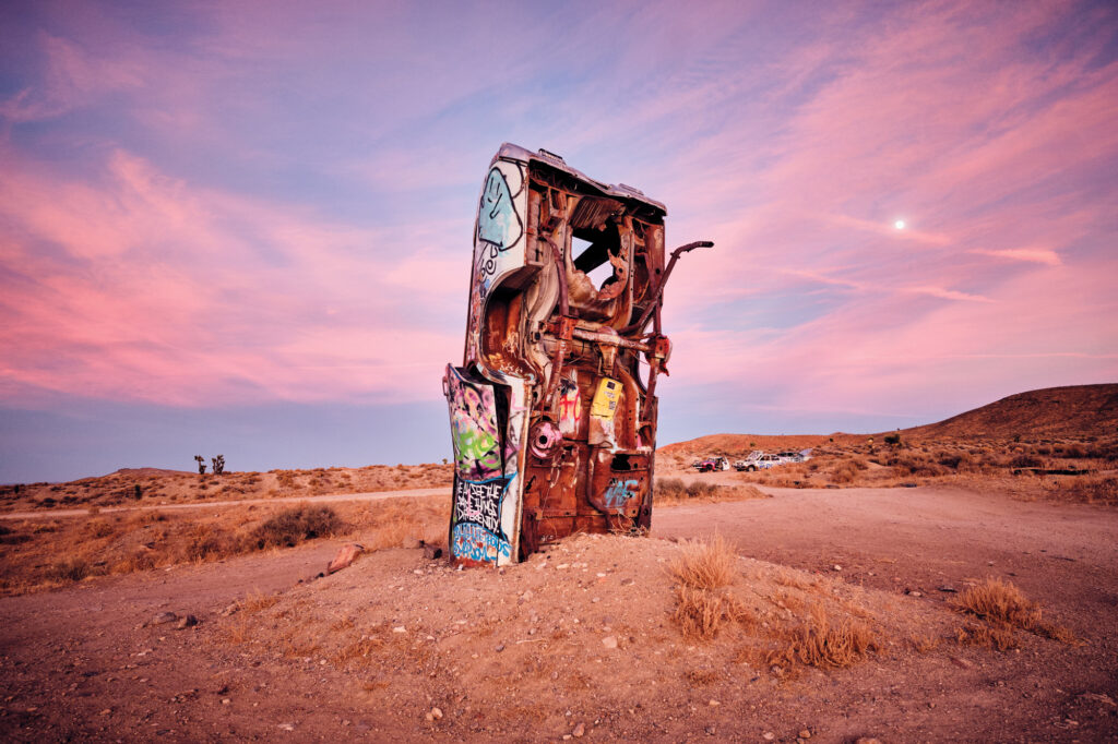 International Car Forest