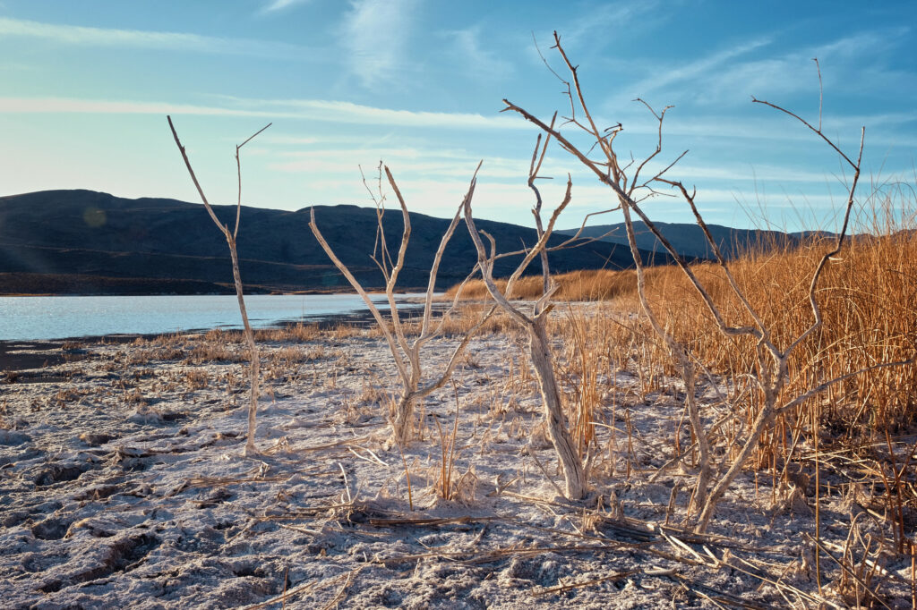 Pahranagat National Wildlife Refuge