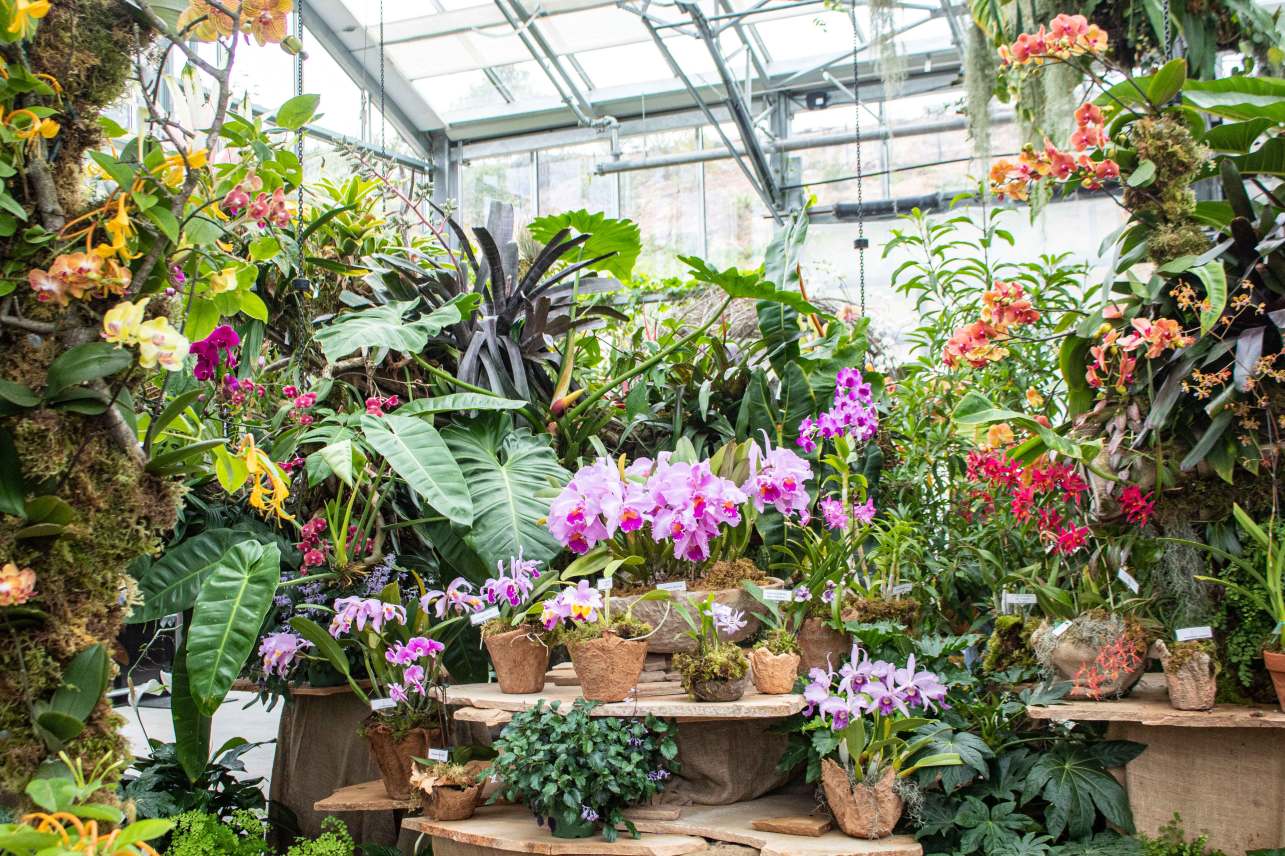This Is the Perfect Family-Friendly Garden Getaway in North County San Diego