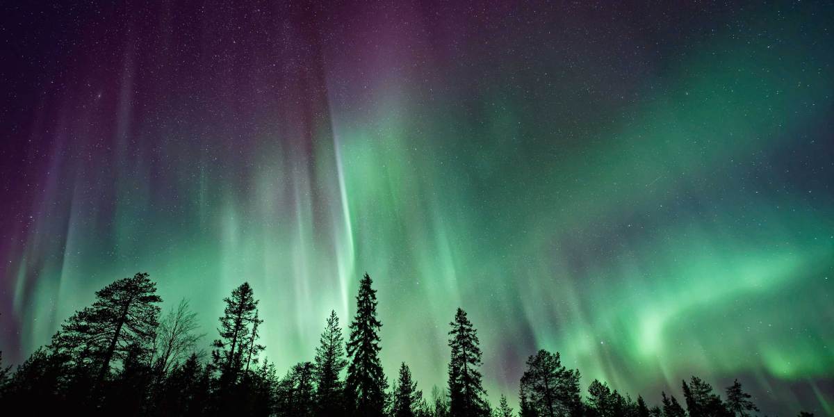Aurora Borealis Over Trees