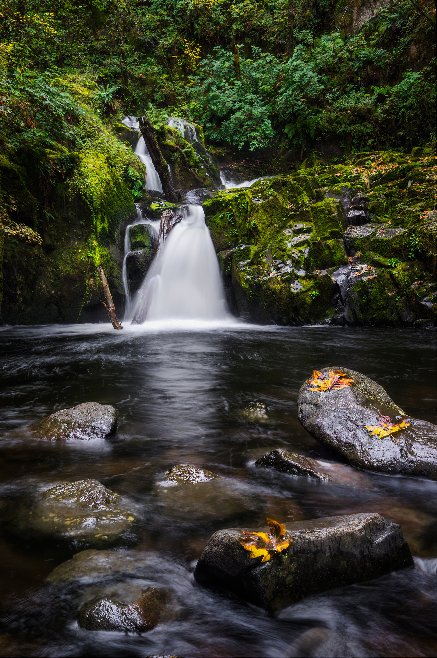 nearby-sweet-creek-falls-trail-offers-a-series-of-more-than-10-waterfalls