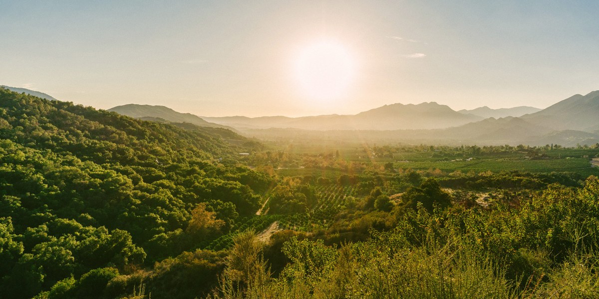 Ojai Valley Landscape