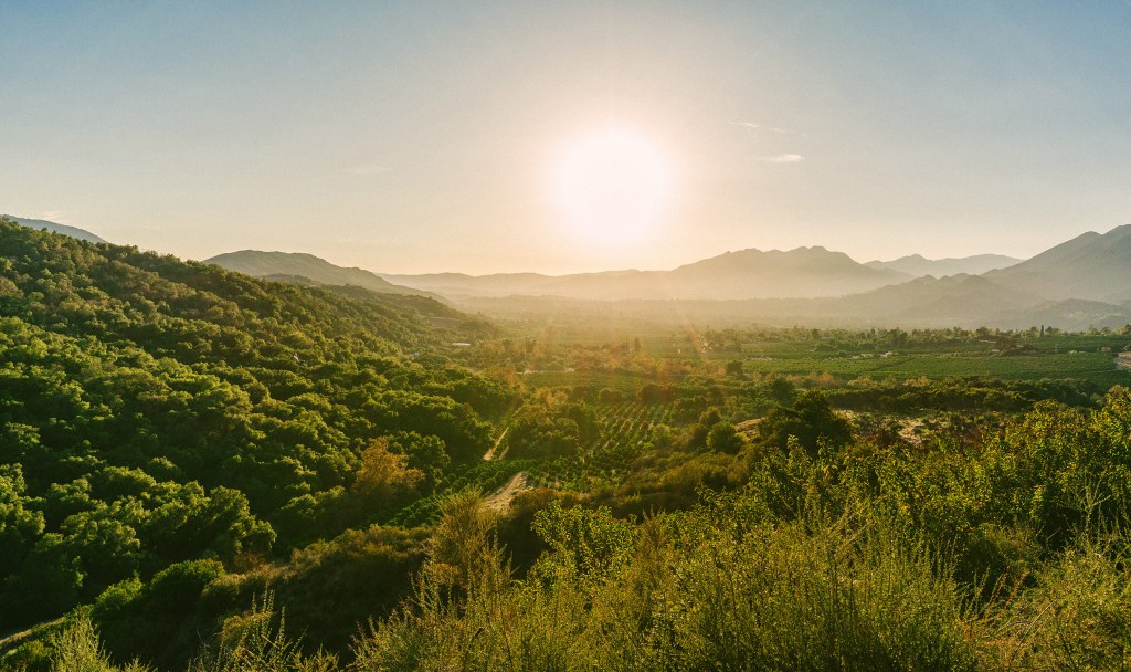 Plant Lovers, This Is How You Plan the Perfect Weekend Getaway in Ojai