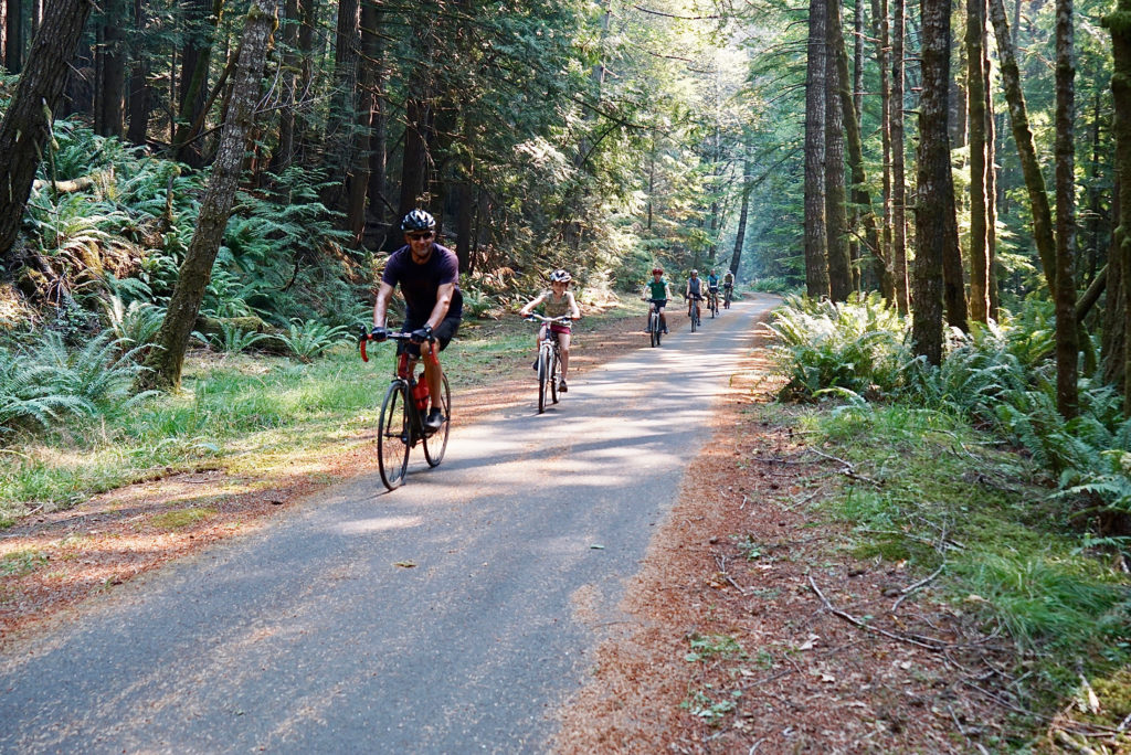 Olympic Discovery Trail