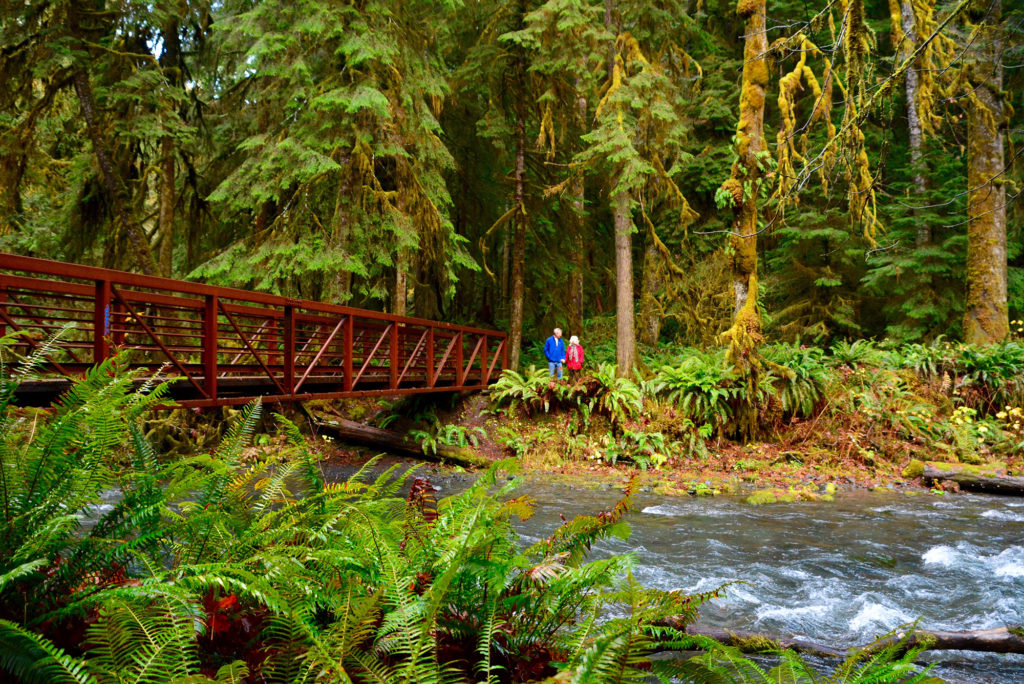 Olympic National Park Lake Crescent Lodge Hiking