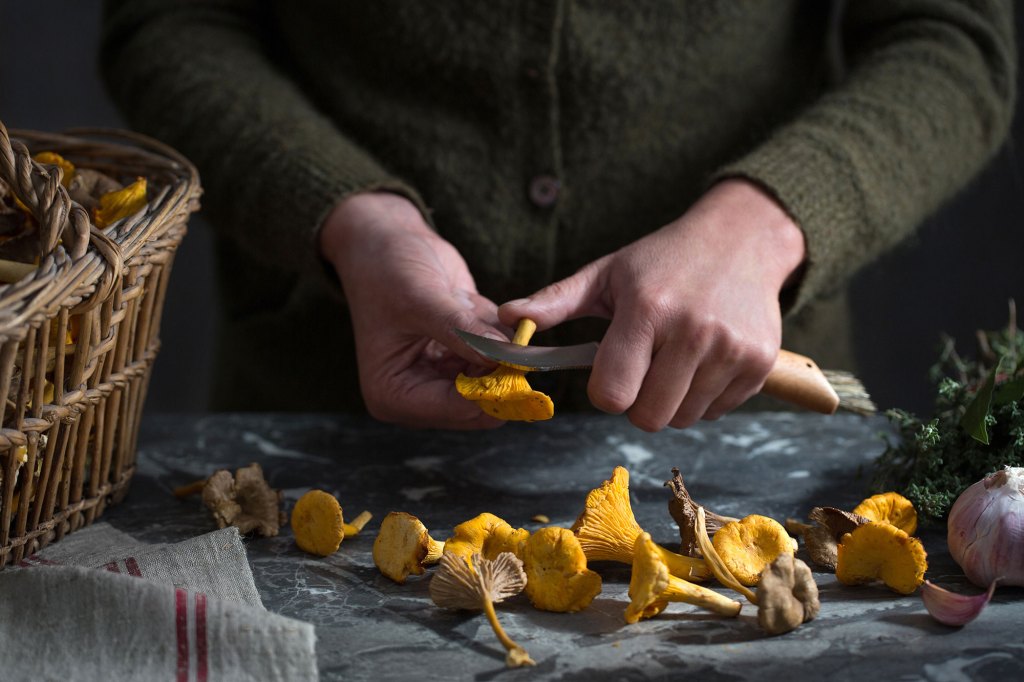The Gear, the Books, and the Know-How to Finally Get into Foraging