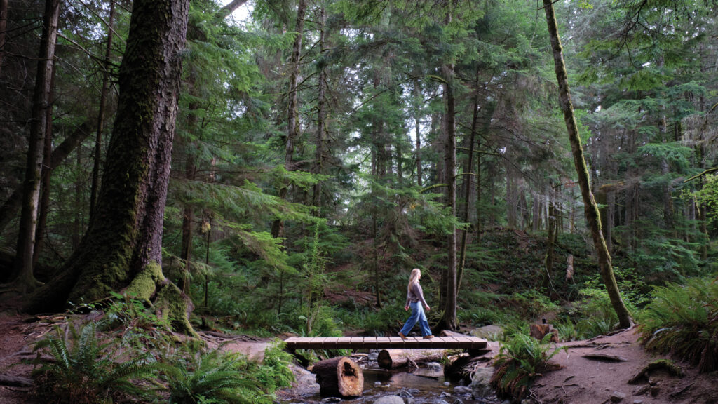 Orcas Island Cascade Falls Trail