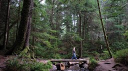 Orcas Island Cascade Falls Trail