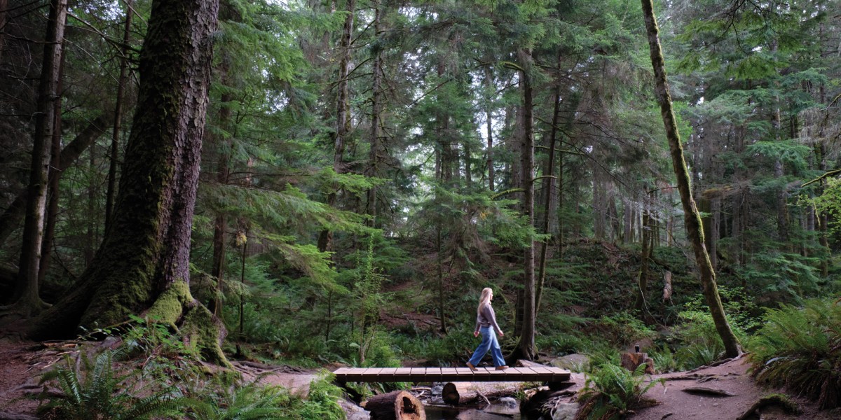 Orcas Island Cascade Falls Trail