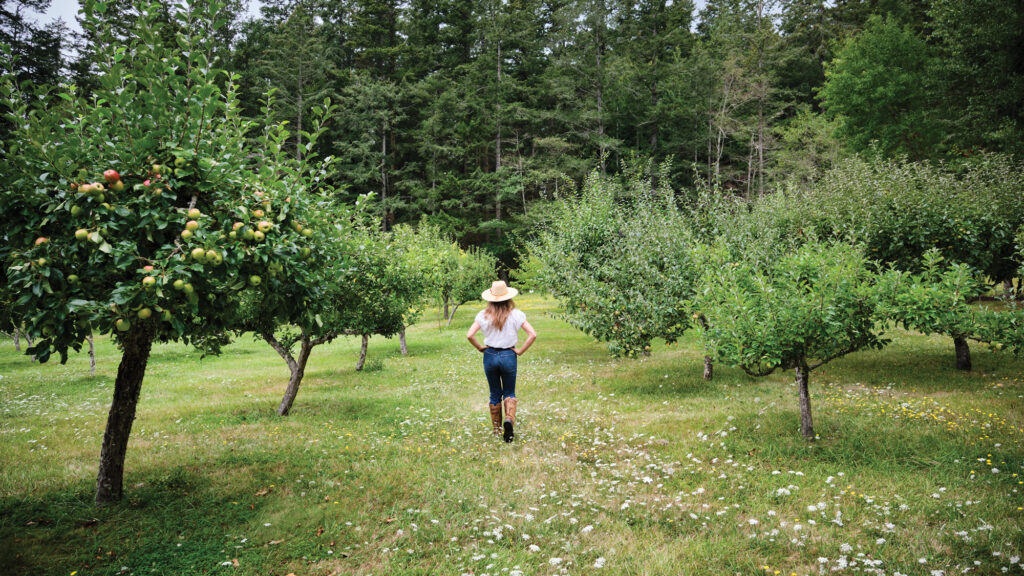 Orcas Island Warm Valley Orchard Audra Lawlor