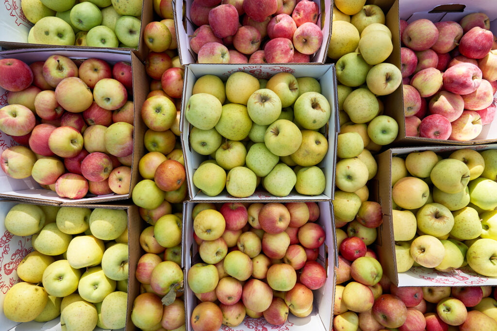 Apples in Fiber Baskets