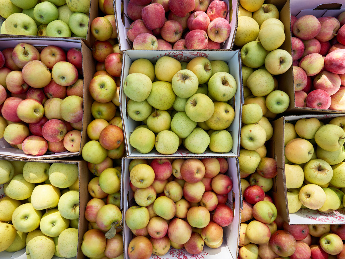 Apples in Fiber Baskets