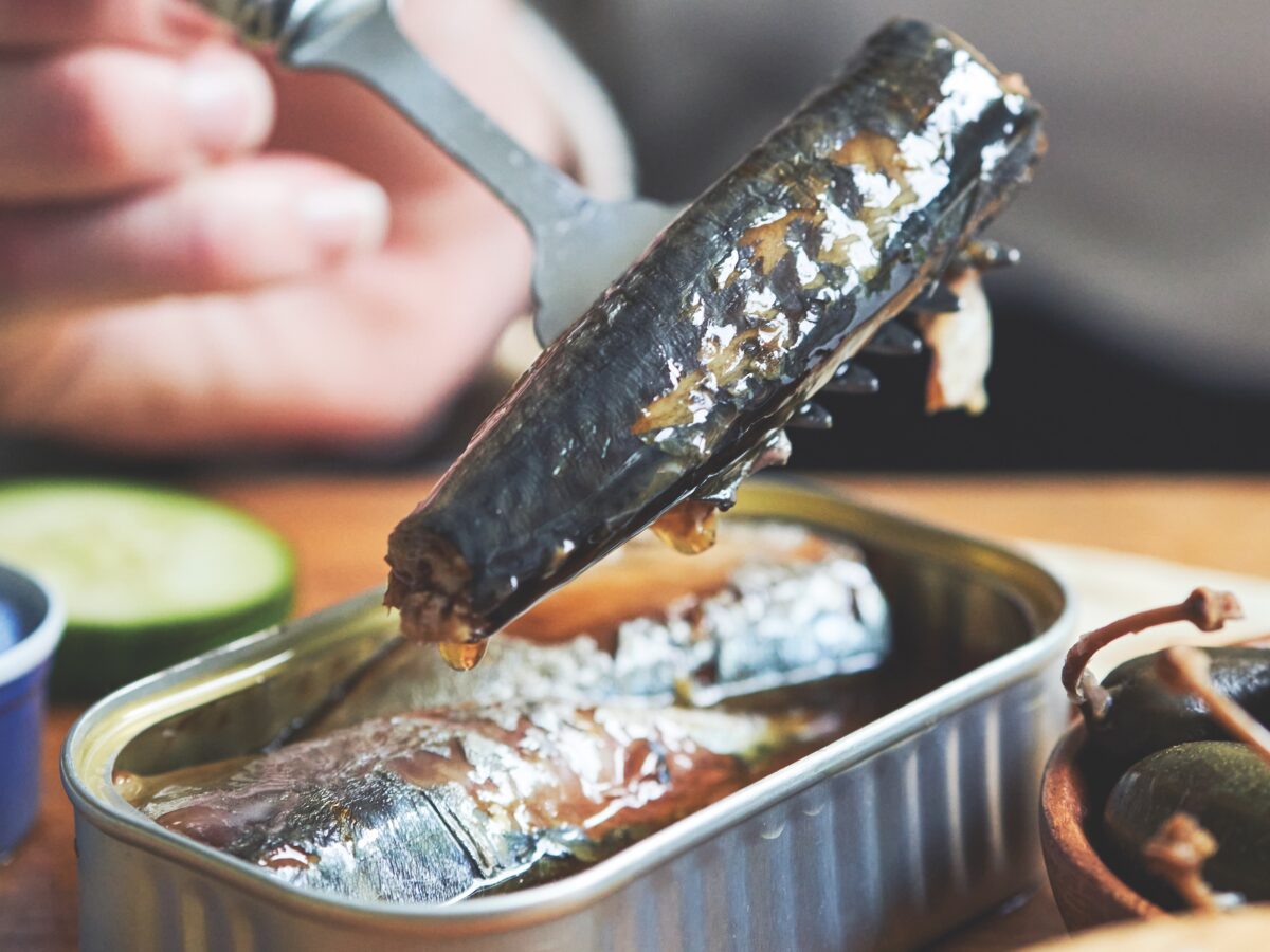Tinned Sardine