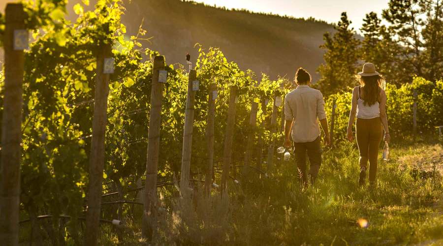 go-wine-tasting-in-british-columbias-okanagan-valley