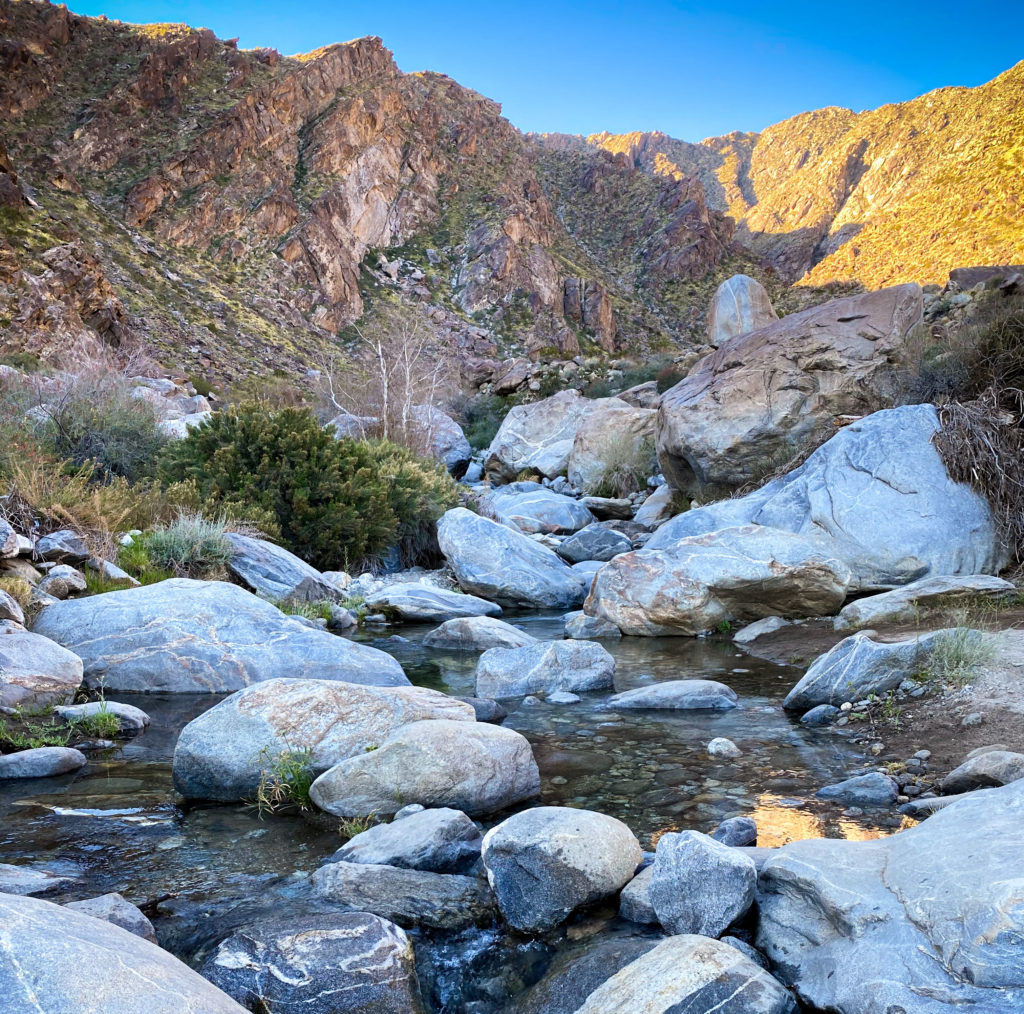 Tahquitz Canyon