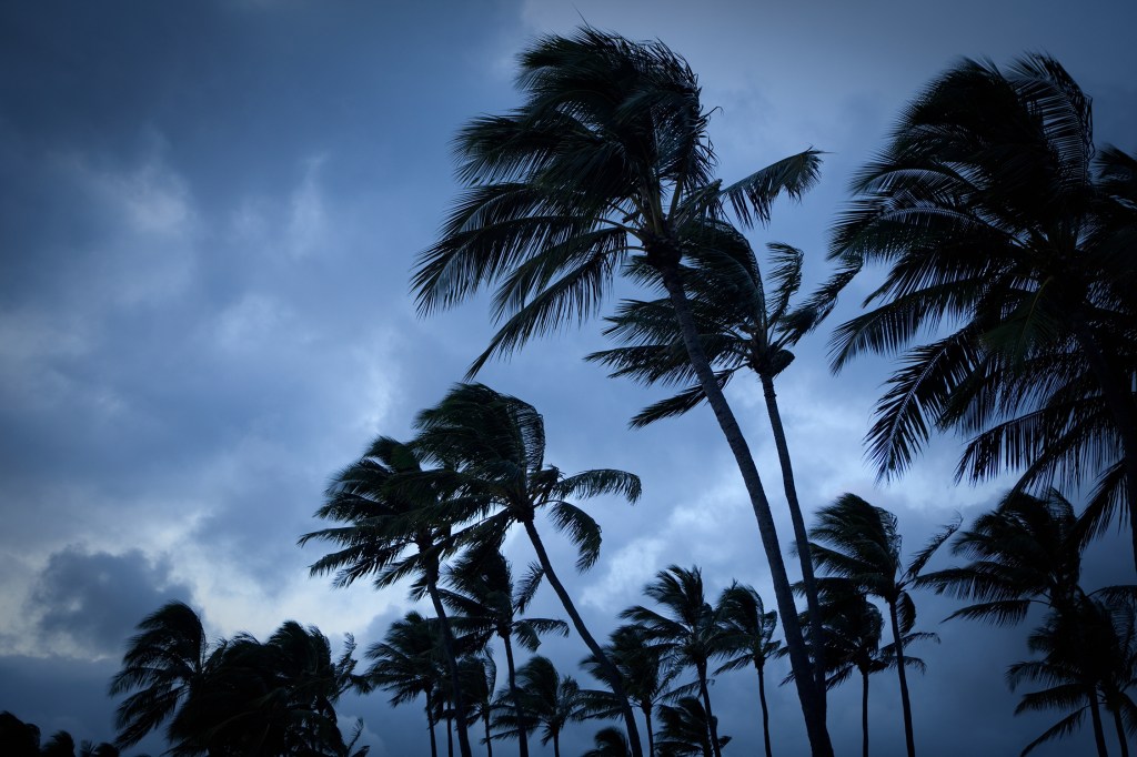 An Unusual Winter Storm in Hawaii Is Bringing Snow, Heavy Rain, and Potential Flooding