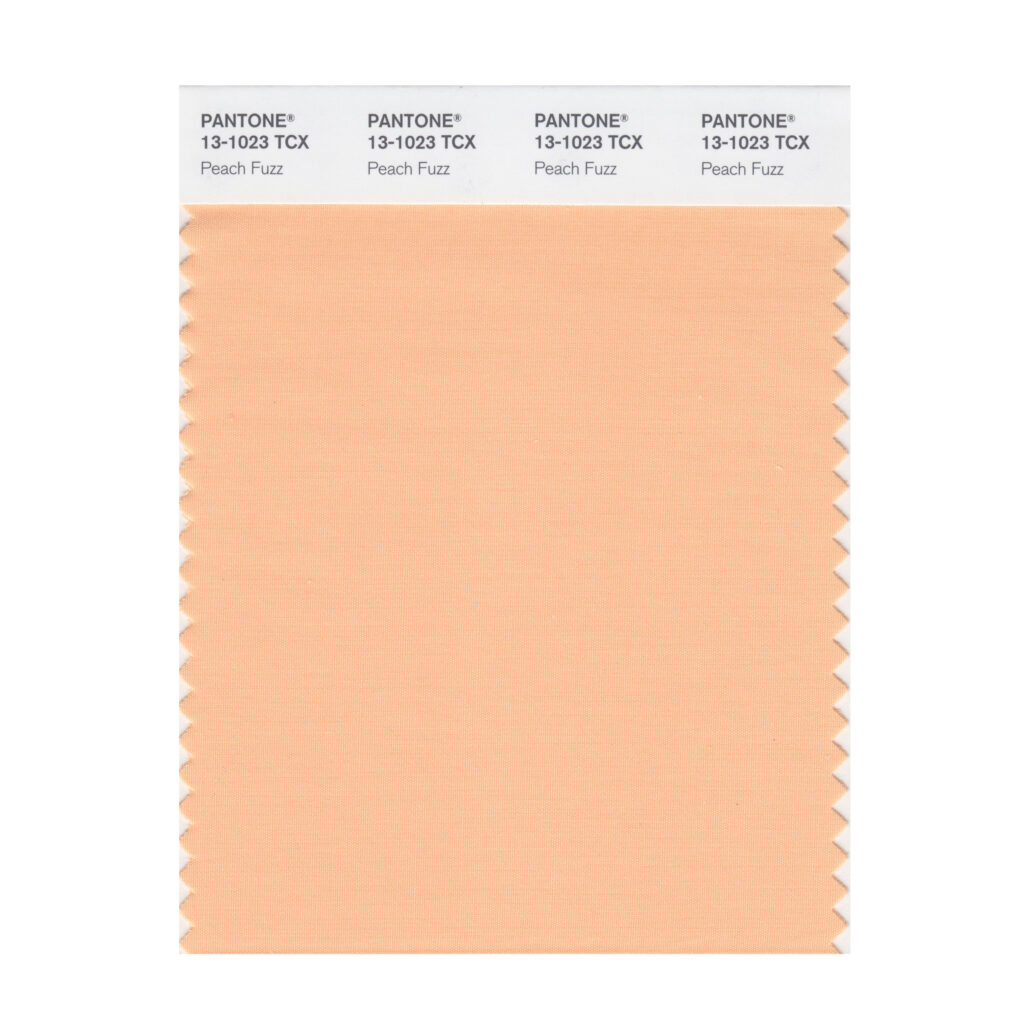 Pantone Peach Fuzz Color Swatch