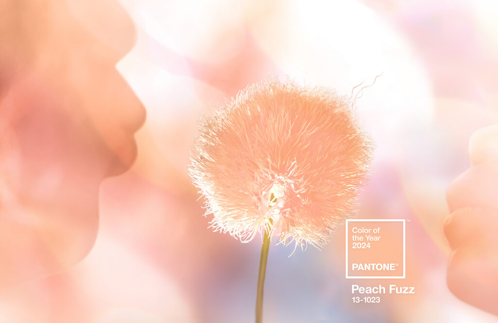 Pantone Peach Fuzz