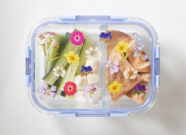 Your Meal Prep Master Plan for the New Year