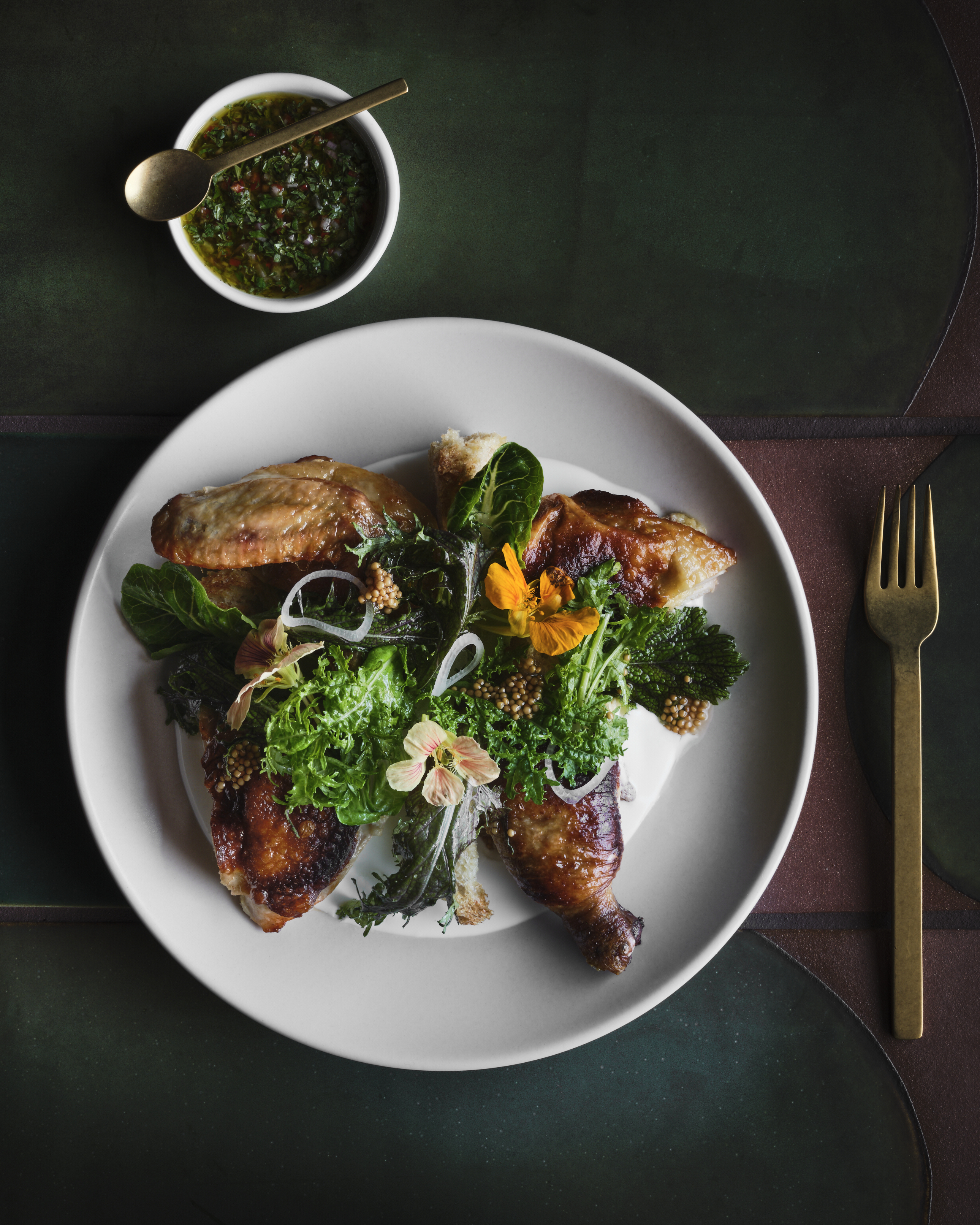 paradisaea_156-jpgdouglasfriedman