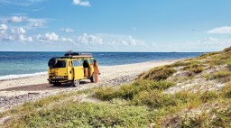 Peace Vans Baja Beach