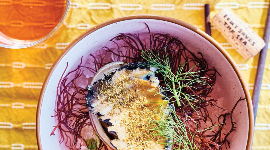 Crudo e Nudo Abalone