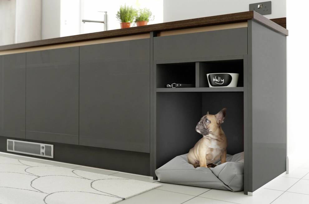 pet friendly kitchen dog and cat